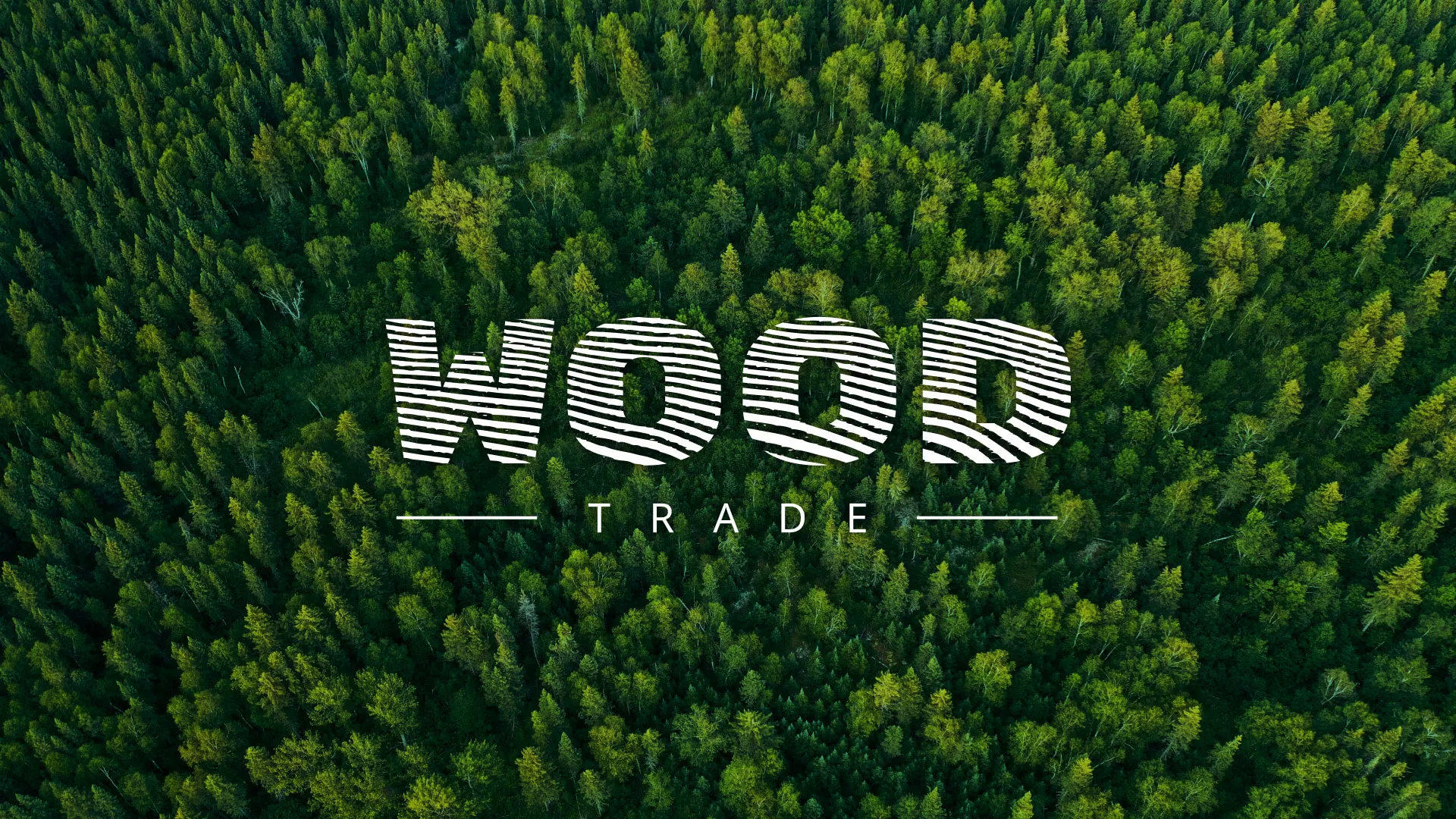 Разработка интернет-магазина компании «Wood Trade» в Данилове